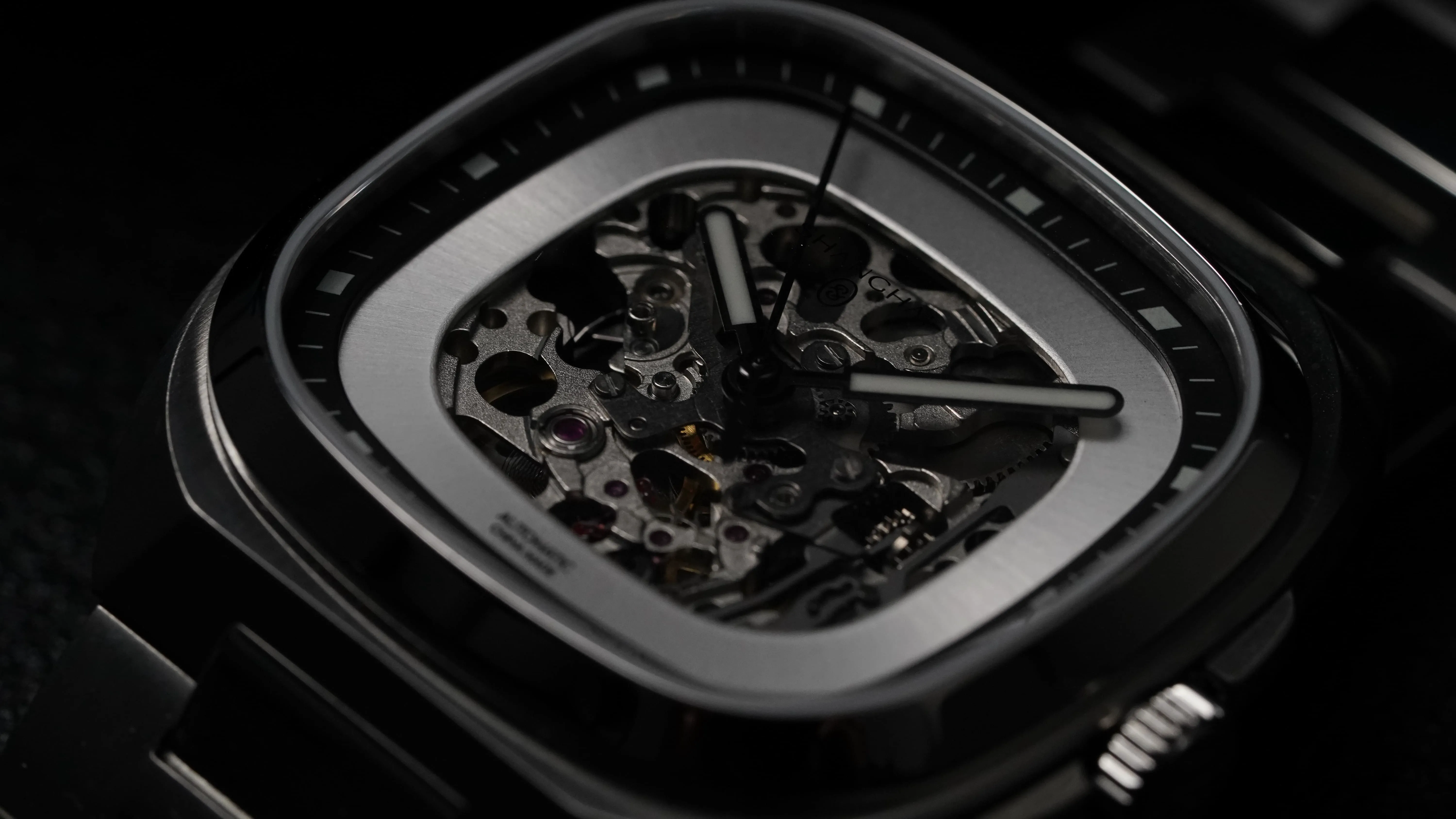Watch Detail Inspection