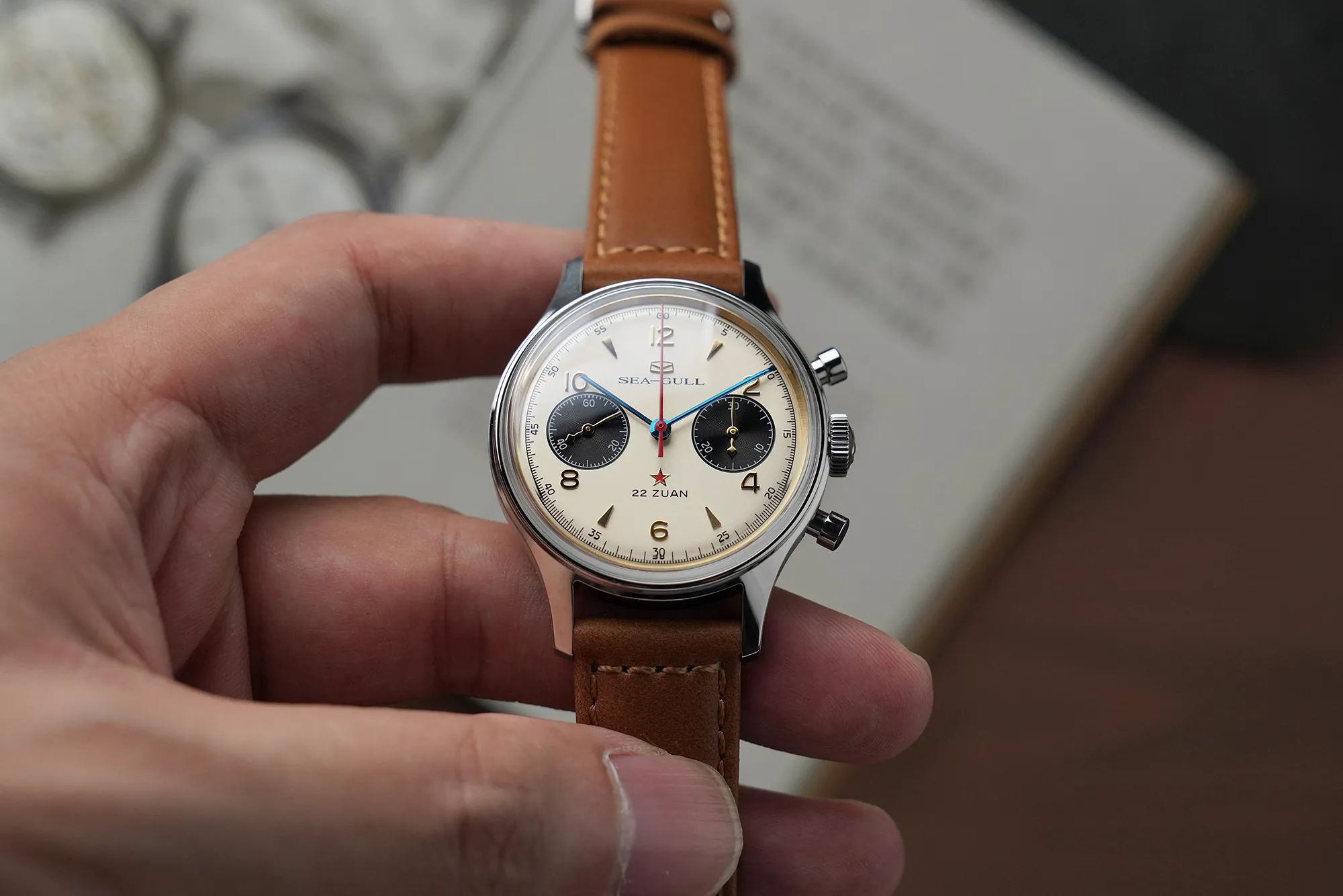 Seagull 1963 Panda Eye