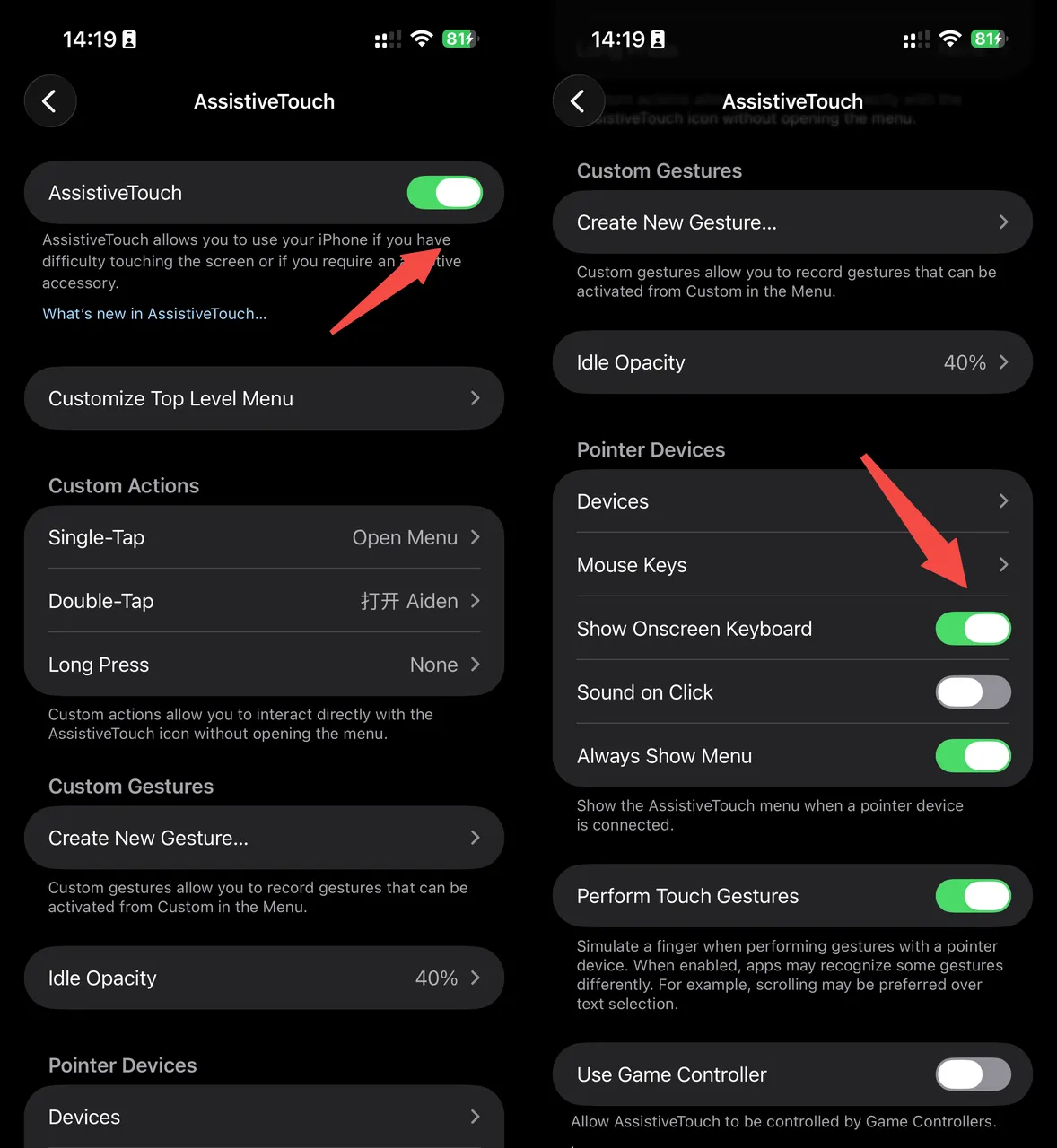 AssistiveTouch and Show Onscreen Keyboard settings