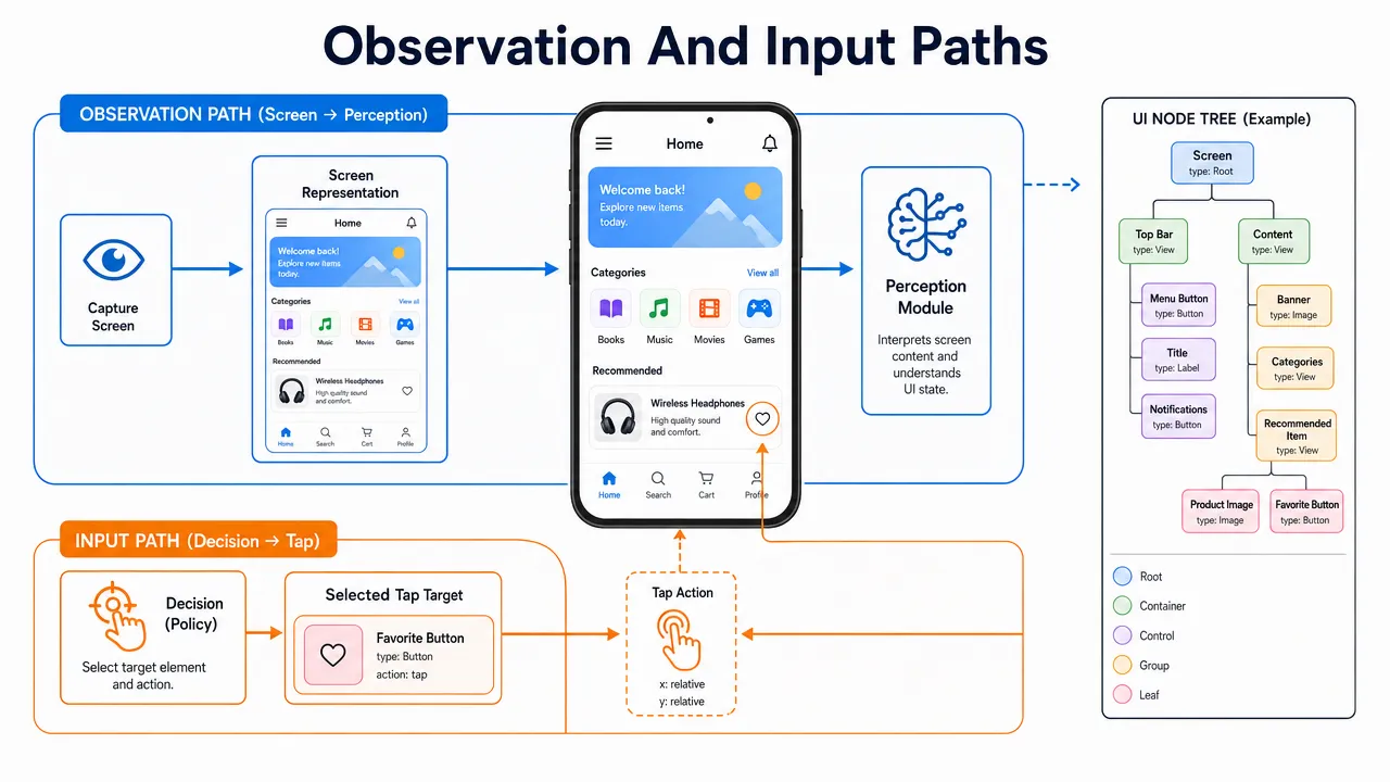 Observation And Input Paths